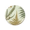 NZ Ferns Coaster