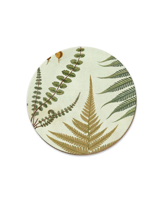 NZ Ferns Coaster