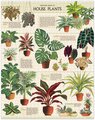 House Plants 1000pc Vintage Puzzle