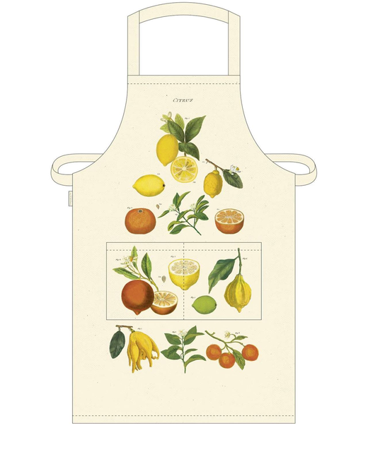 Vintage Apron