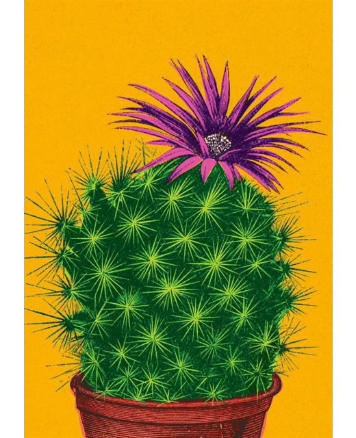 Flowering Cactus Card