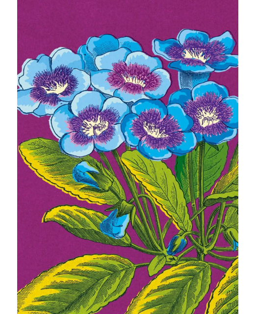 Purple Primroses Card