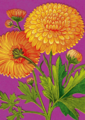 Yellow Chrystanthemum Card