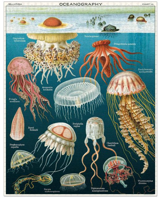 Jellyfish 1000pc Vintage Puzzle