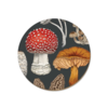 Livewires NZ Fungi Morchella Coaster