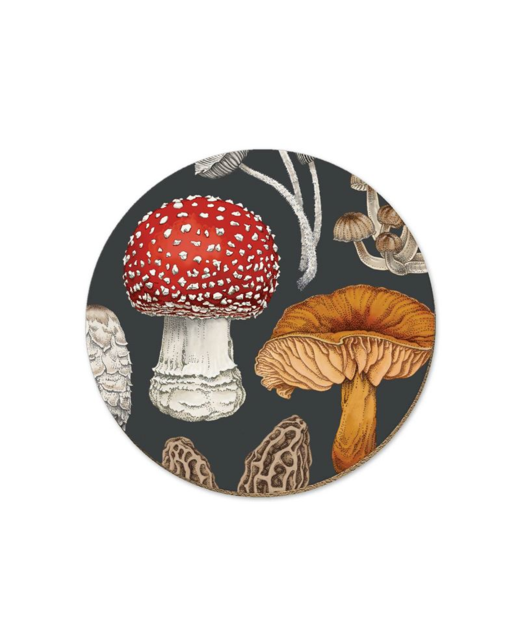 Livewires NZ Fungi Morchella Coaster