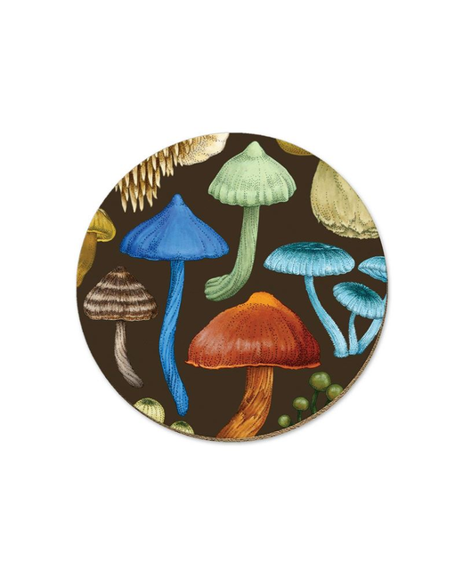 Livewires NZ Fungi Entoloma Coaster