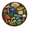 Livewires NZ Fungi Entoloma Placemat