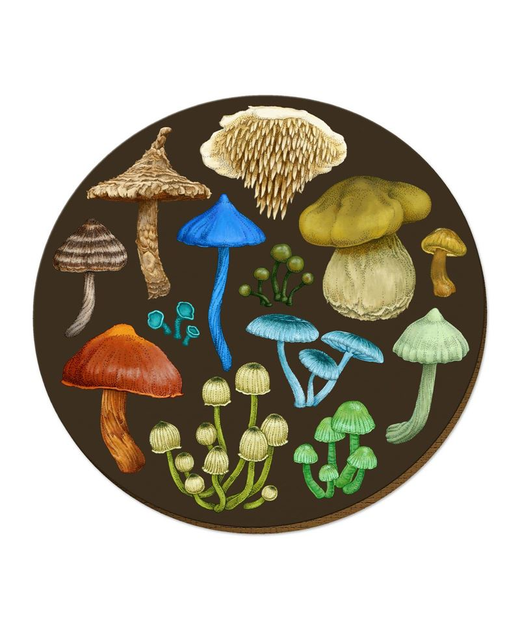 Livewires NZ Fungi Entoloma Placemat