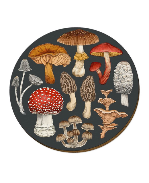 Livewires NZ Fungi Morchella Placemat