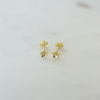 Sophie Daisy Day Studs - Gold