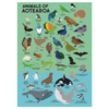 Moana Road Animals of Aotearoa Puzzle