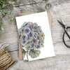 Livewires Hydrangea Card