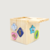 Moana Road Shape Sorter - NZ Birds