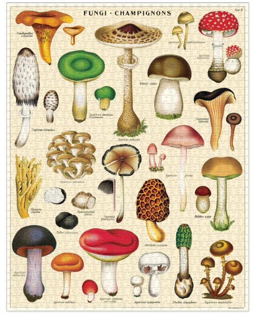 Livewires Mushrooms 1000pc Vintage Puzzle