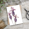 Livewires French Lavender Card