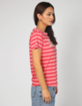 Stella + Gemma Ace Tee - 1991 Stripe Base